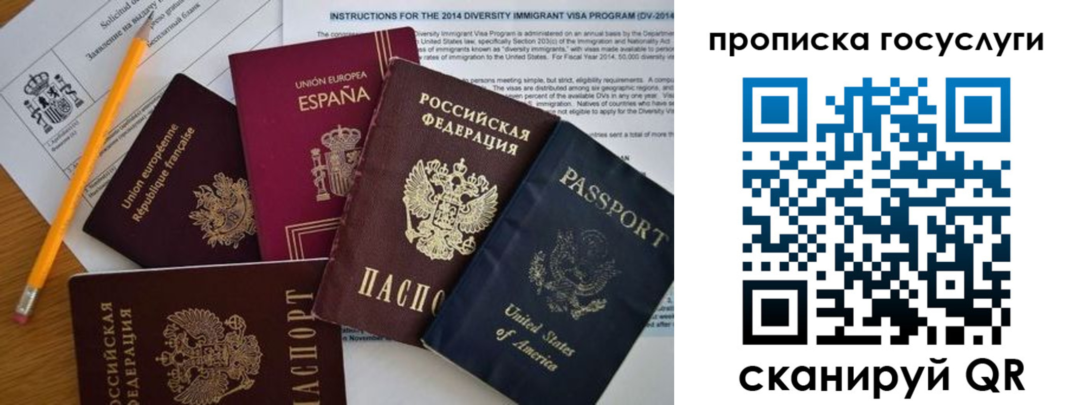 прописка гарантия в Чкаловске