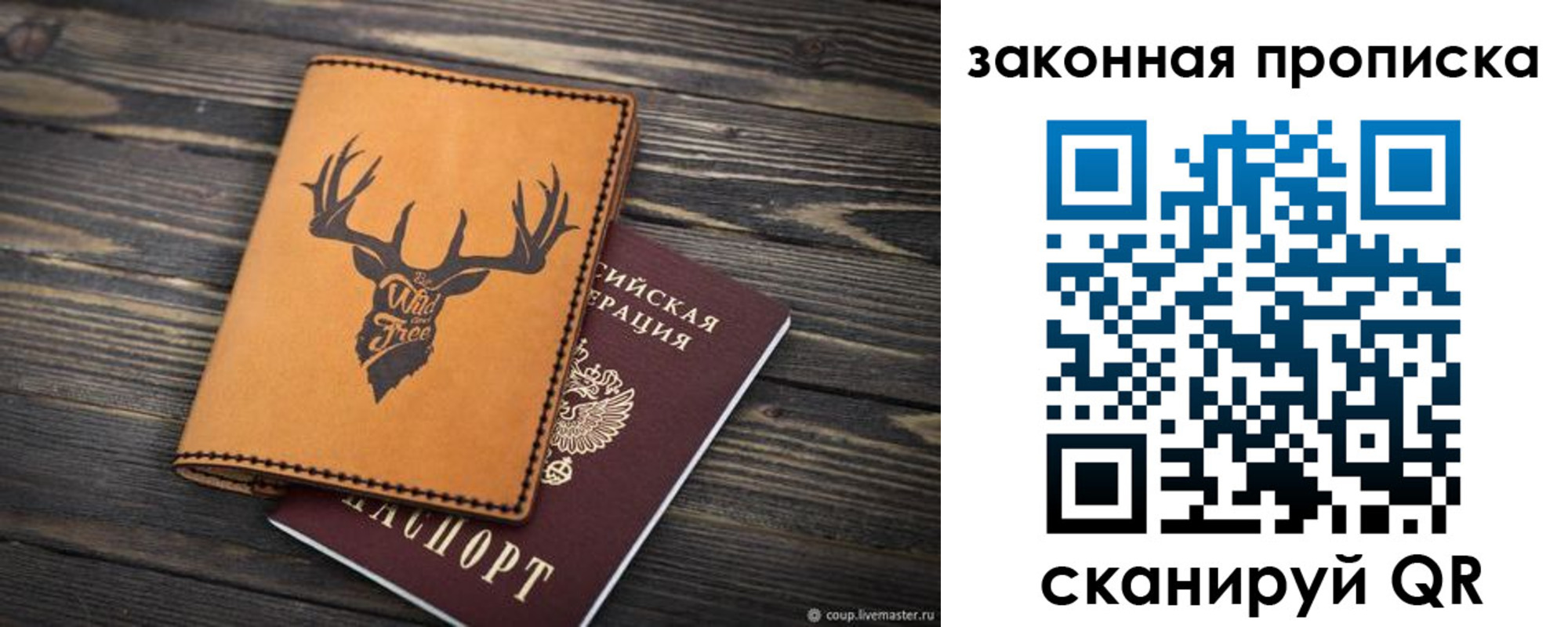 прописка для школы в Чкаловске